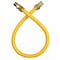 Thrifco Plumbing 3/4 Inch MIP x 3/4 Inch FIP x 24 Inch Long Gas Appliance Connector 4406694 - alternate 1